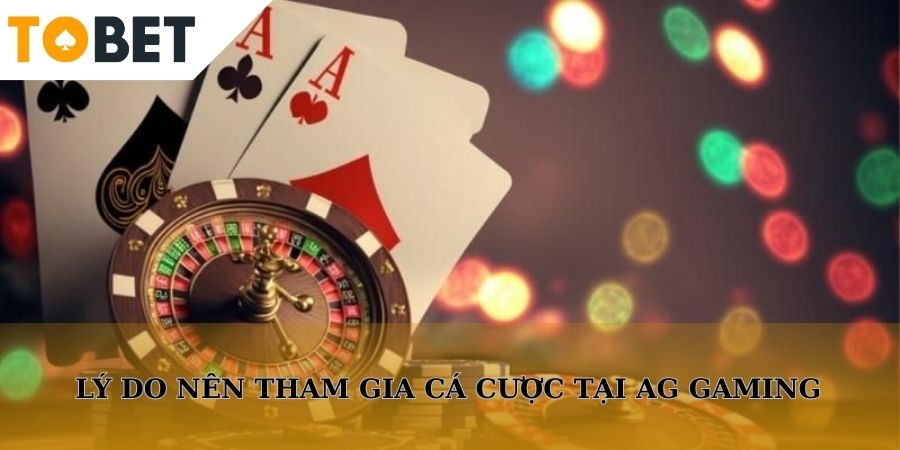Tại sao nên tham gia Asia Gaming tại TOBET88?
