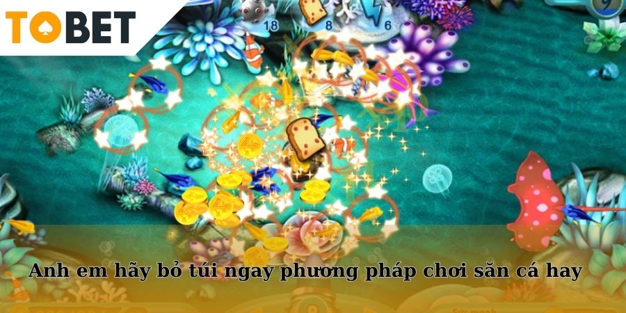 Anh em hãy bỏ túi ngay phương pháp chơi săn cá hay