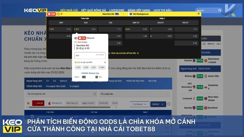 Phân tích biến động Odds là chìa khóa mở cánh cửa thành công tại nhà cái TOBET88.
